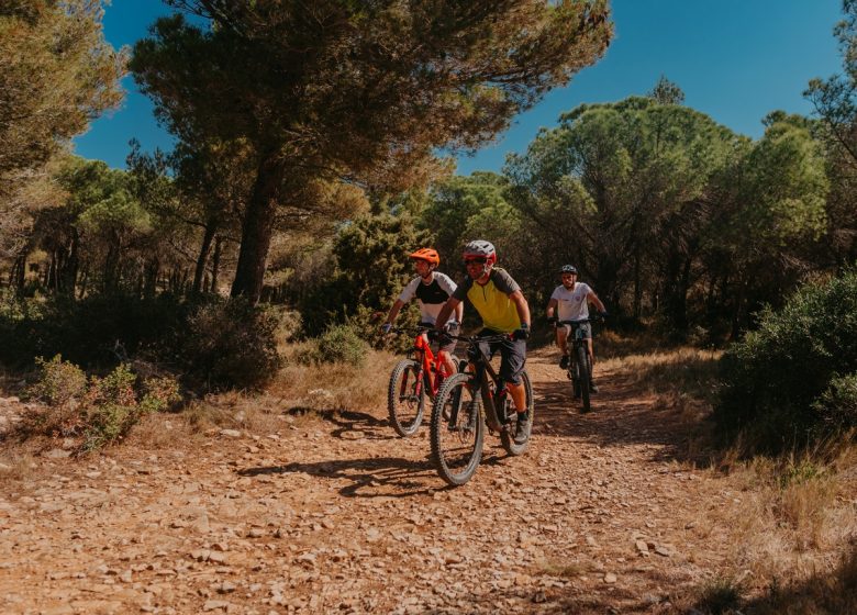 CIRCUIT VTT N°5 – LES GARRIGUES