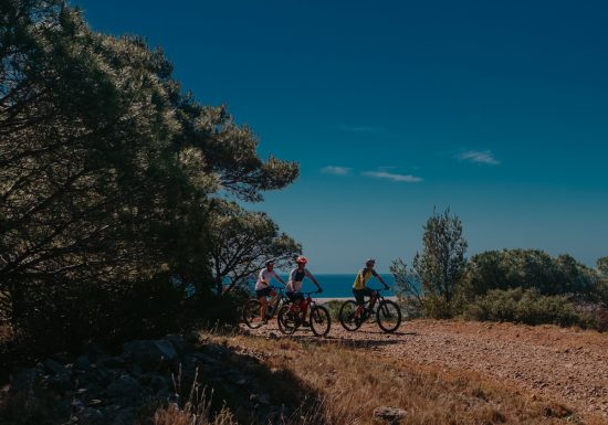 CIRCUIT VTT N°5 – LES GARRIGUES