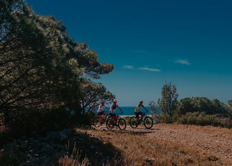 MTB-STRECKE N ° 5 - LES GARRIGUES