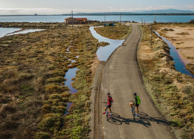 THE ROUTE DES SALINS