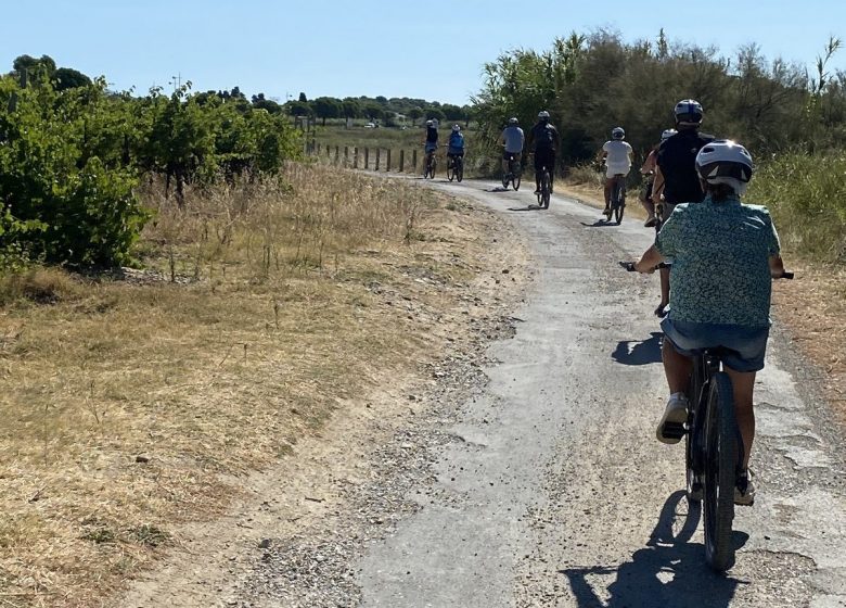 PISTAS DE CICLISMO GRUISSAN