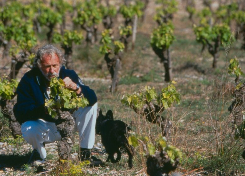 VINS PIERRE RICHARD