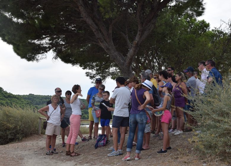 GUIDED TOUR OF THE CHÂTEAU DE GRUISSAN