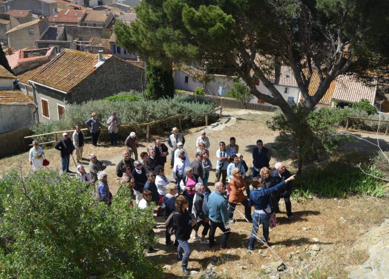 GUIDED TOUR OF THE CHÂTEAU DE GRUISSAN