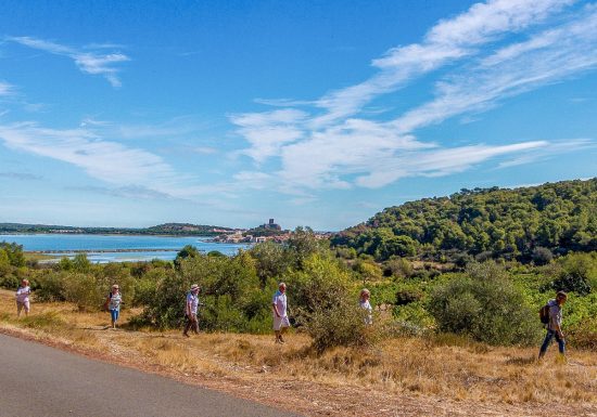 CIRCUIT VTT N°4 – TINTAINE