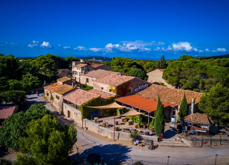 CHATEAU LE BOUÏS