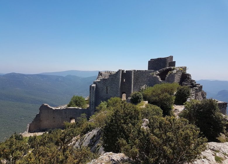 CHÂTEAU DE PEYREPERTUSE