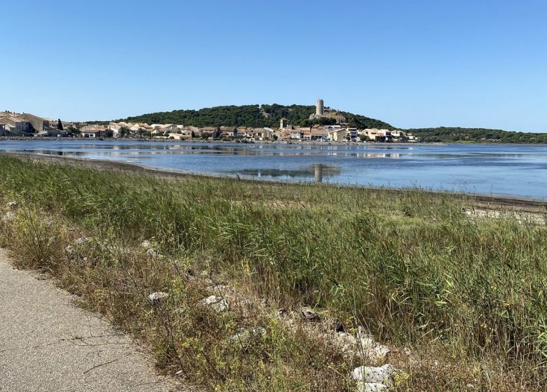 PISTES CYCLABLES DE GRUISSAN